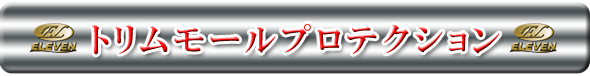 トリムモールプロテクション