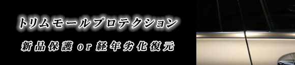トリムモールプロテクション